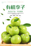 有机李子海报
