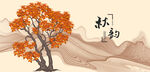 枫树