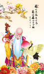  老寿星