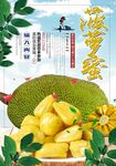 菠萝蜜 