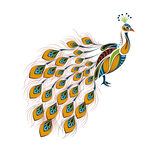 孔雀插画