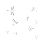 夏季蜻蜓