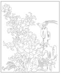 牡丹