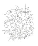 花卉线稿