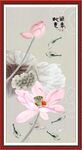 国画荷花