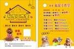 宠物店宣传单宠物店dm单