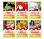 妇女之家文化墙