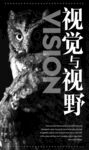 猫头鹰