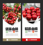 山楂展架