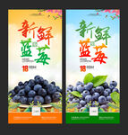 蓝莓