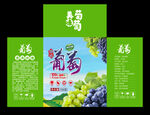 葡萄包装设计展开图