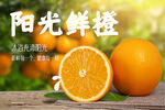阳光鲜橙广告