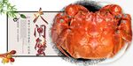 大闸蟹