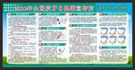 全国爱牙日宣传栏