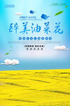 油菜花
