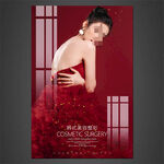 美容挂图