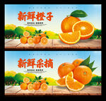 橙子