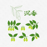 中药沉香线稿