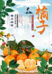 橘子