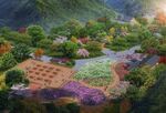 鸟瞰图
