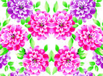 大牌花