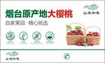 大樱桃 