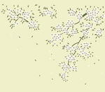 樱花矢量插图