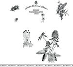  素材花 黑白花