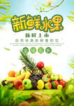 水果创意海报