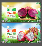 火龙果