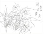 兰花背景墙