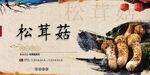 松茸菇