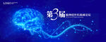 KV 大脑 神经