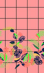 热带植物