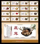中药展板