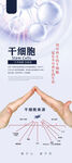干细胞