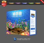 油石斑鱼包装