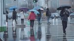 雨中打伞的行人