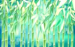 唯美绿色竹林背景墙