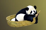 抱着竹篓的熊猫