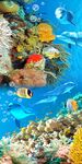 海底世界3D玄关 