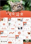 可爱萌宠猫咪宠物医院宠物ppt