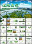 湿地环境保护生态森林业PPT