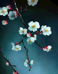 梅花