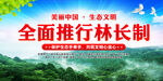 全面推行林长制