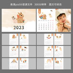2023年兔年台历照片台历