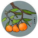 桔子插画