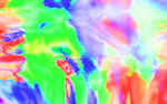 玄关流体画 