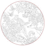 牡丹 