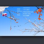 积雪花枝